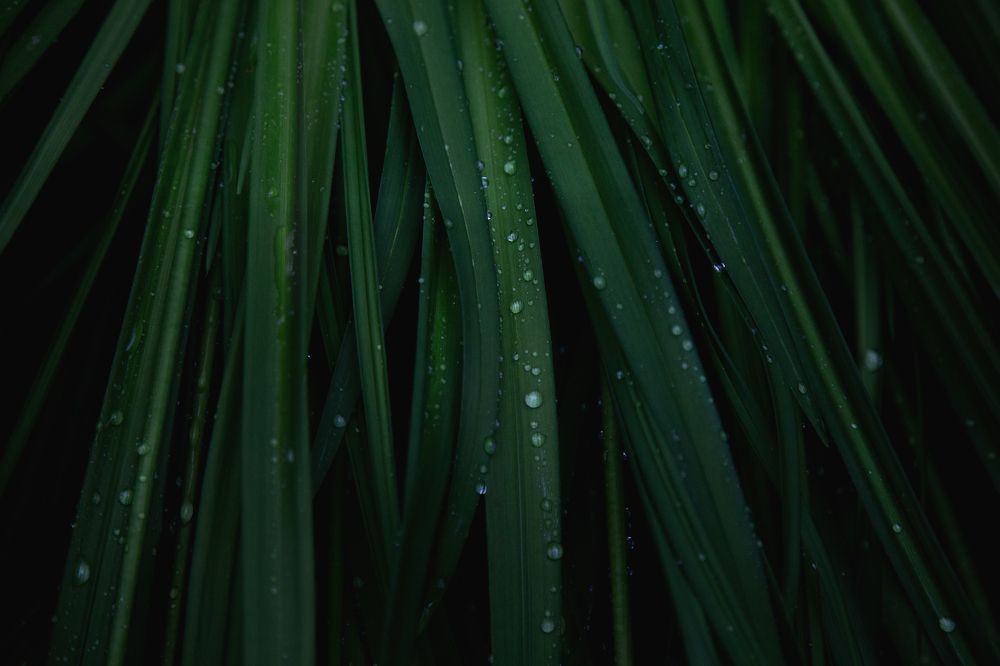 Фотография автора Оксана Мерзликина