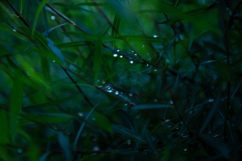 Фотография автора Оксана Мерзликина