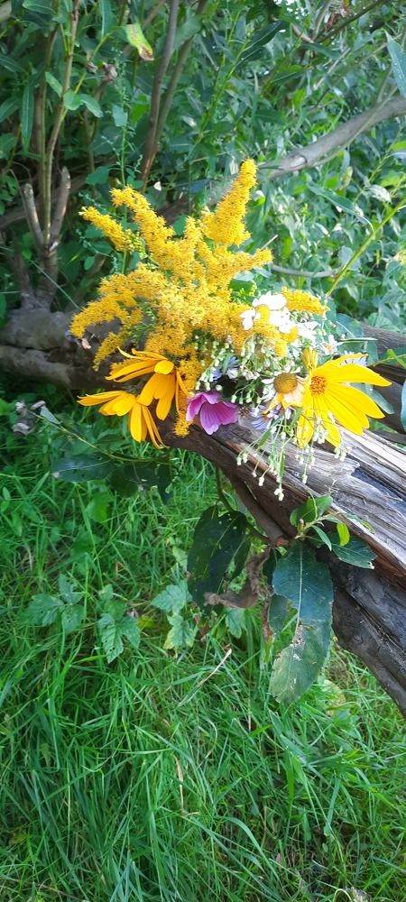 Photograph by Ирина Забродина