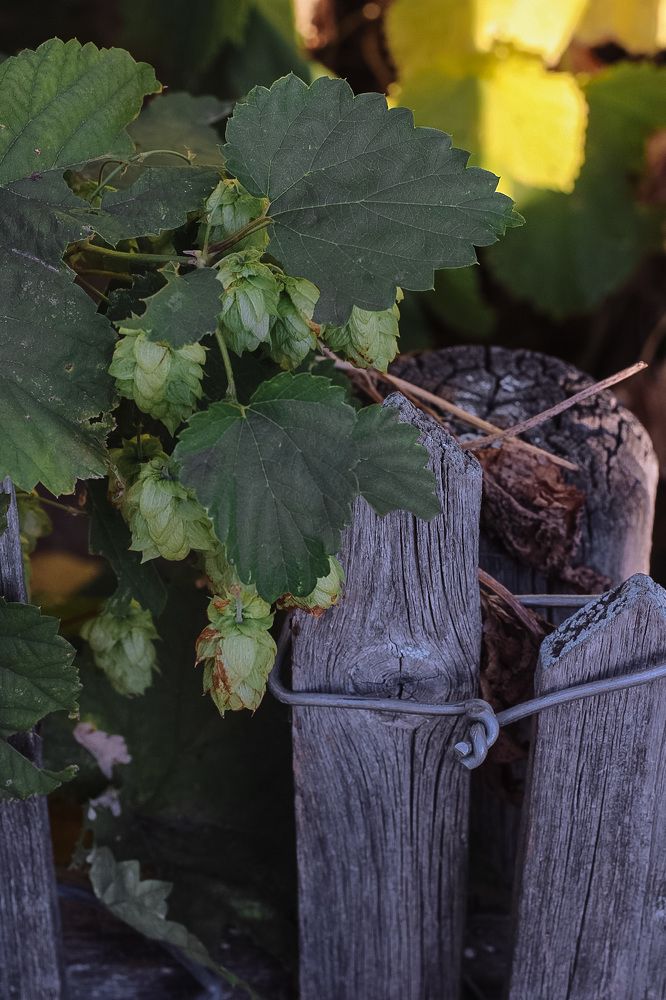 Photograph by Анна Захарук