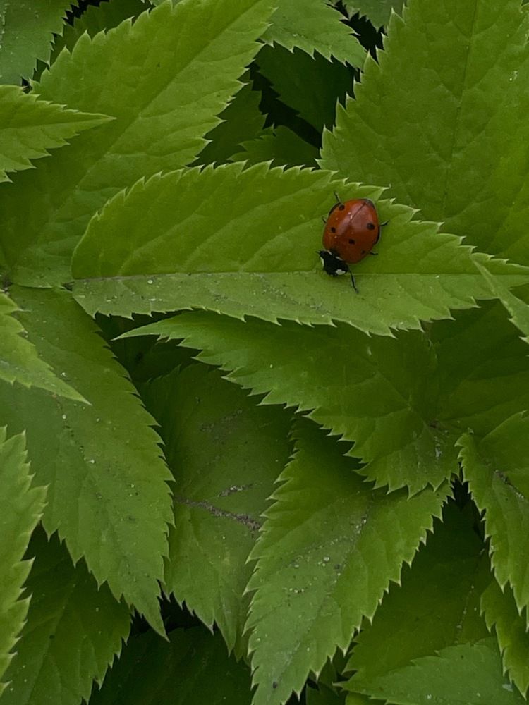 Photograph by Анна Захарук