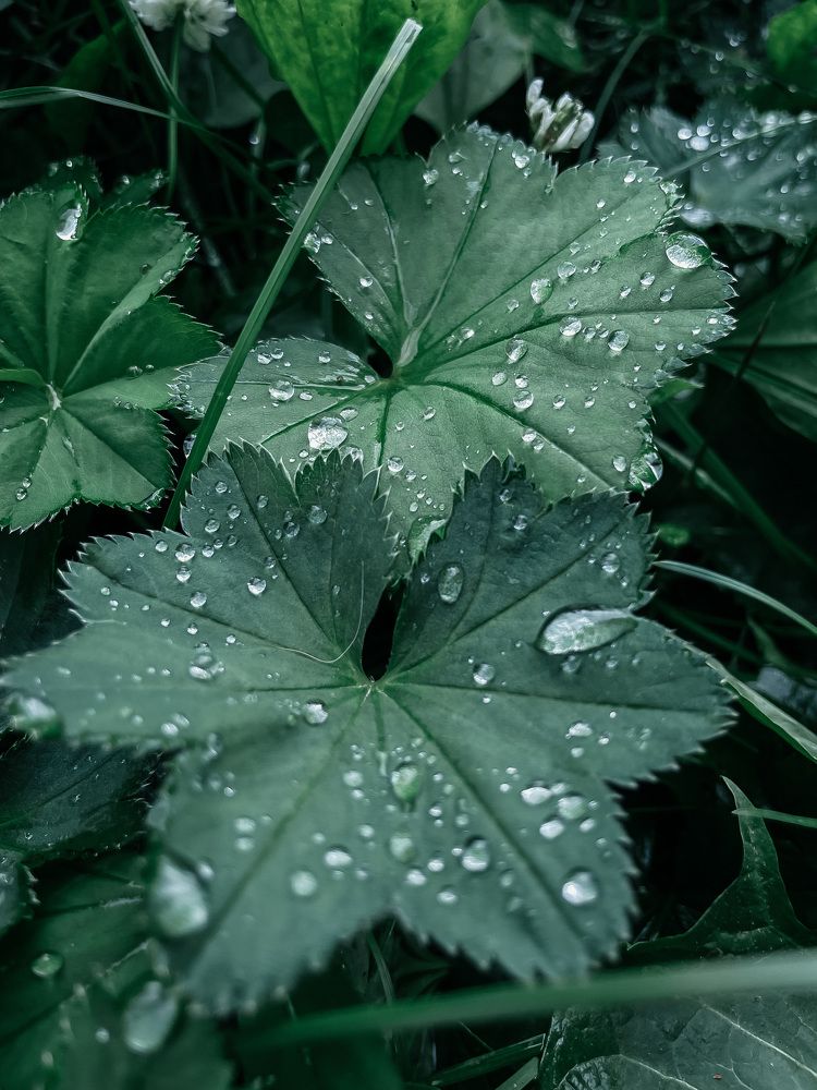 Photograph by Анна Захарук