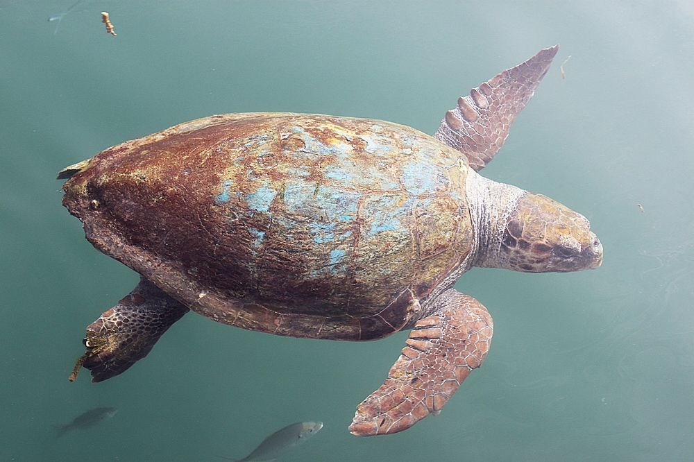 В поисках завтрака