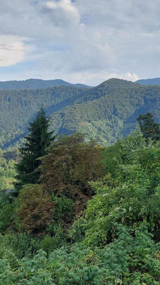 Photograph by Светлана Усатенко