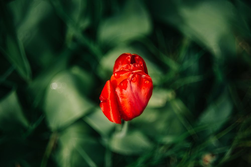 Photograph by Светлана Антипова