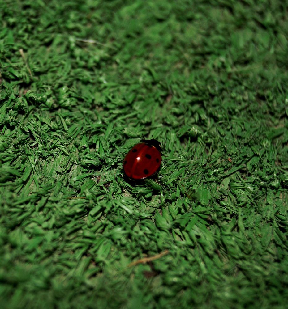 Photograph by Vlad Proshin