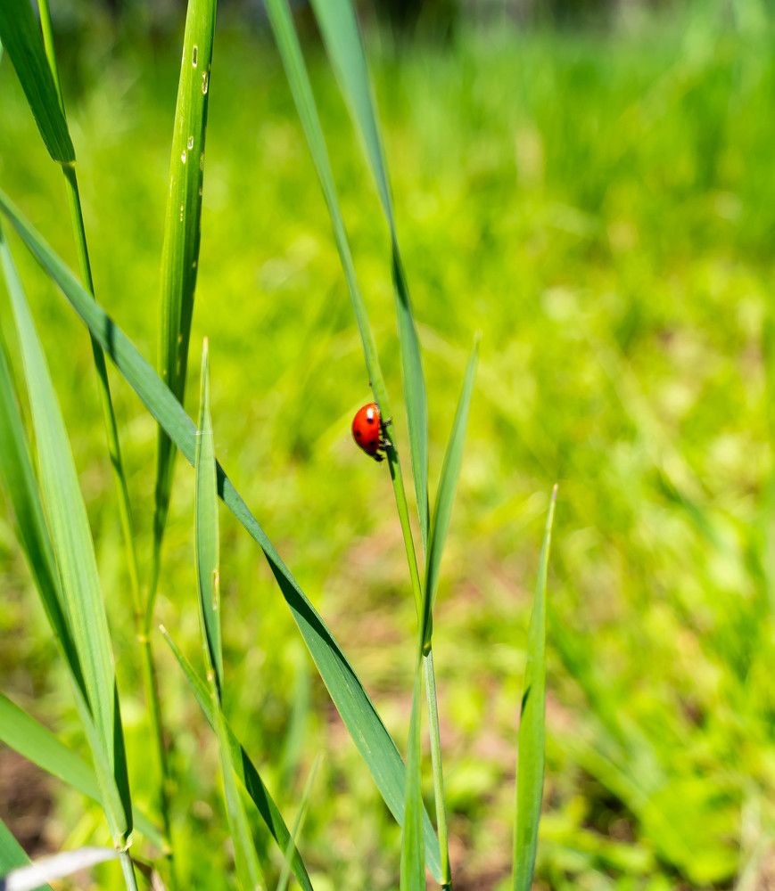 Photograph by Vlad Proshin