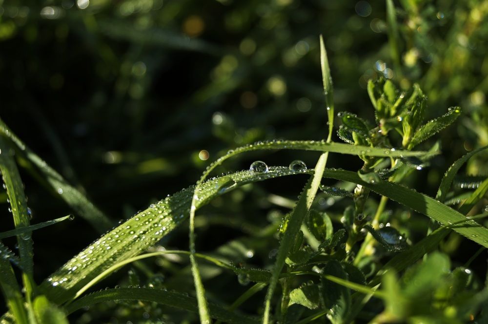 Photograph by Vlad Proshin