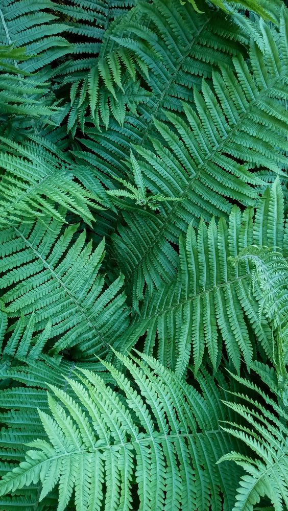 Фотография автора Ольга Неуймина