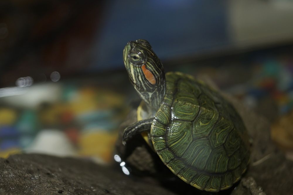 Photograph by Vlad Proshin