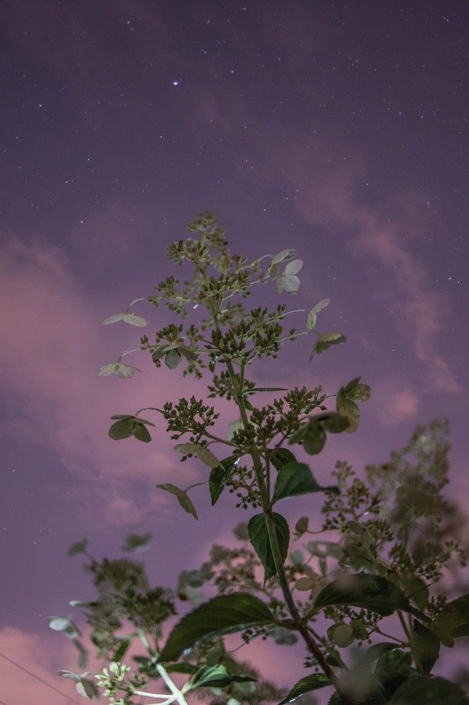 Photograph by Maria Filatova