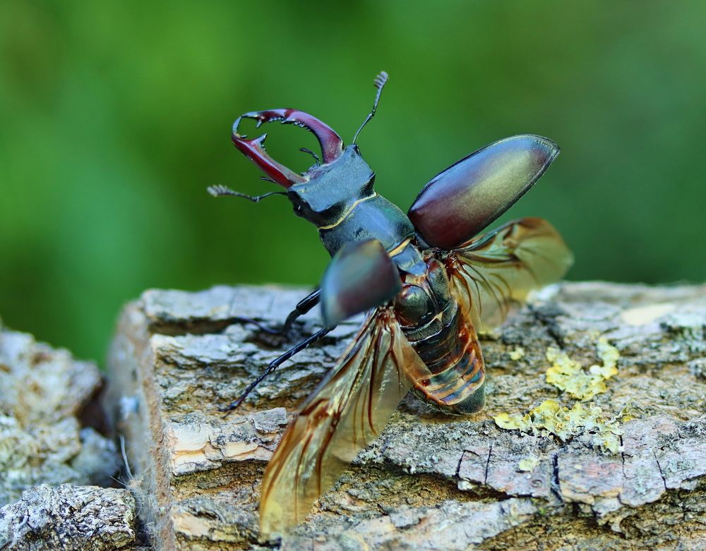 Ключ на старт!