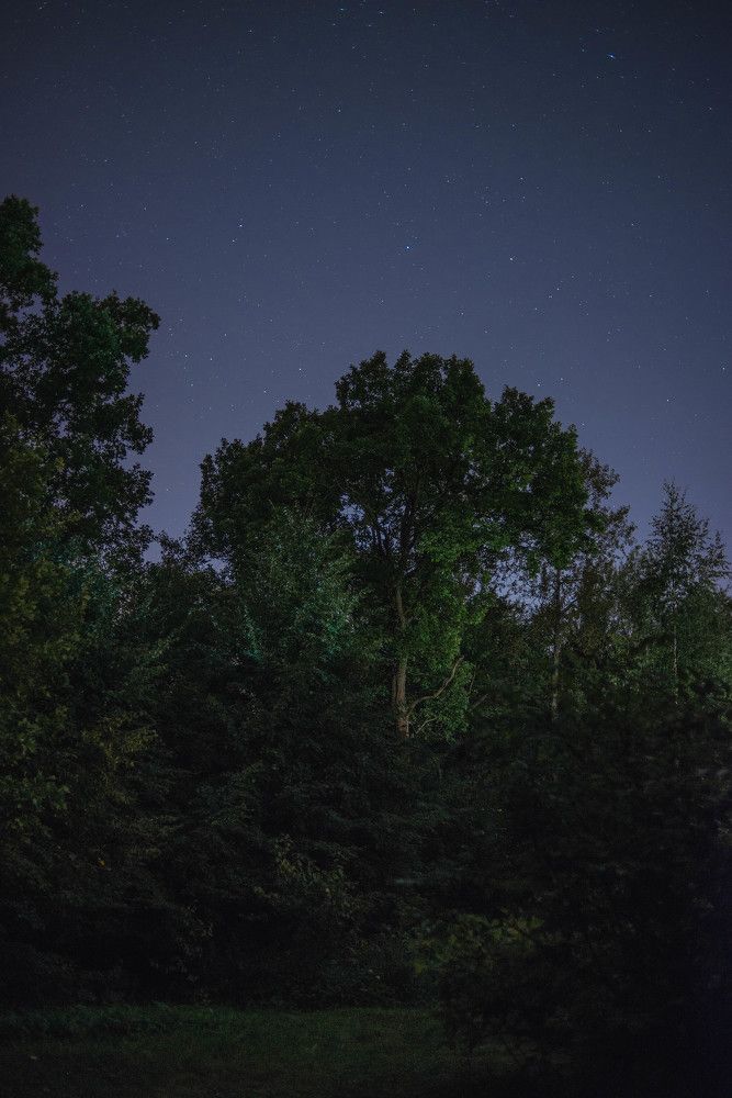 Photograph by Maria Filatova