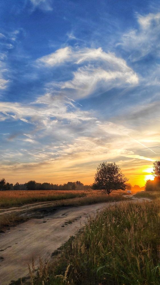Лето, уходящее в закат.