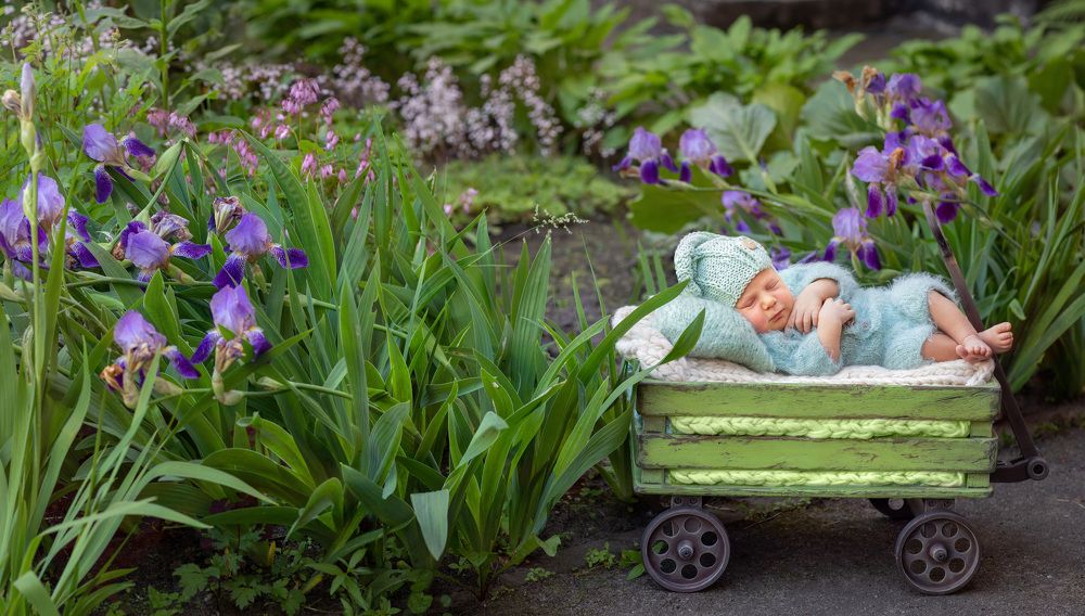 Photograph by Елена Алгазина