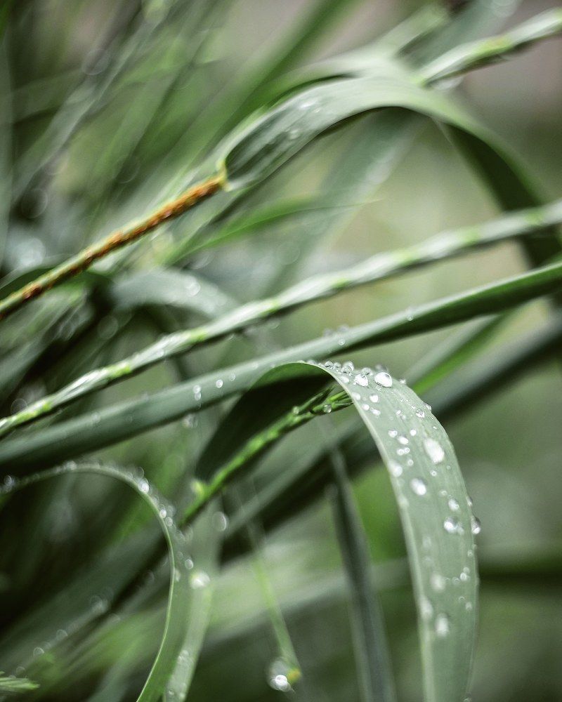 Photograph by Аряева Анна