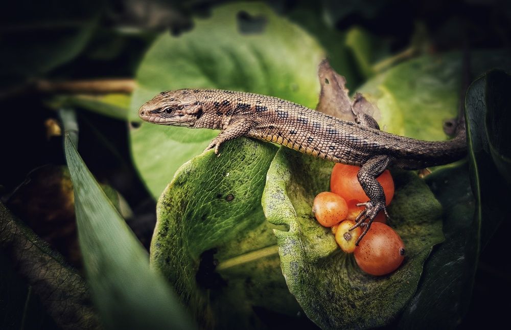 Photograph by Аряева Анна