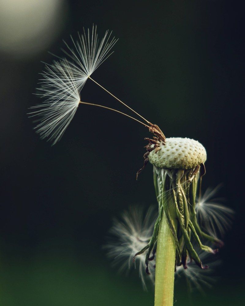 Photograph by Аряева Анна