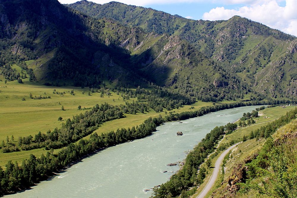 Зеленые берега зеленой реки