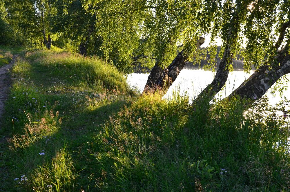 Photograph by Valentina