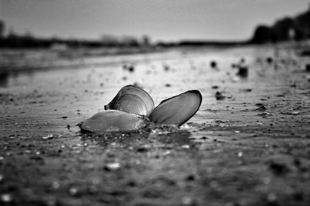 Photograph by Елена Кузнецова