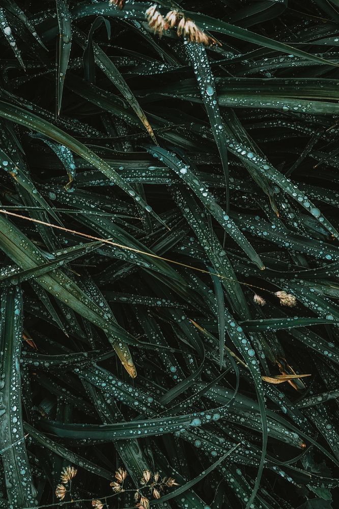 Photograph by Екатерина Федорова