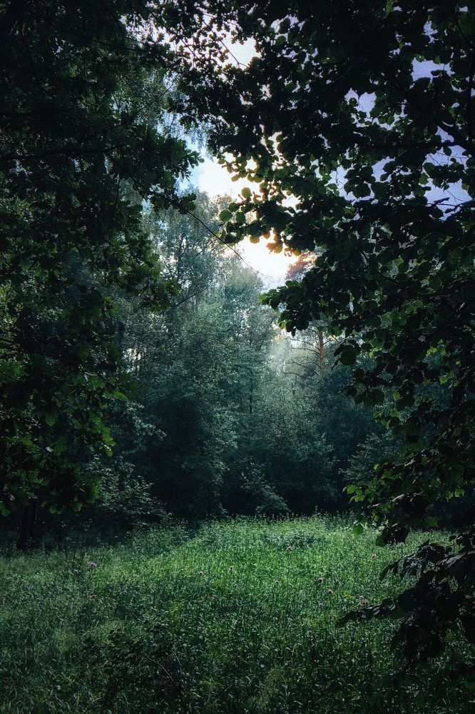 Photograph by Екатерина Федорова