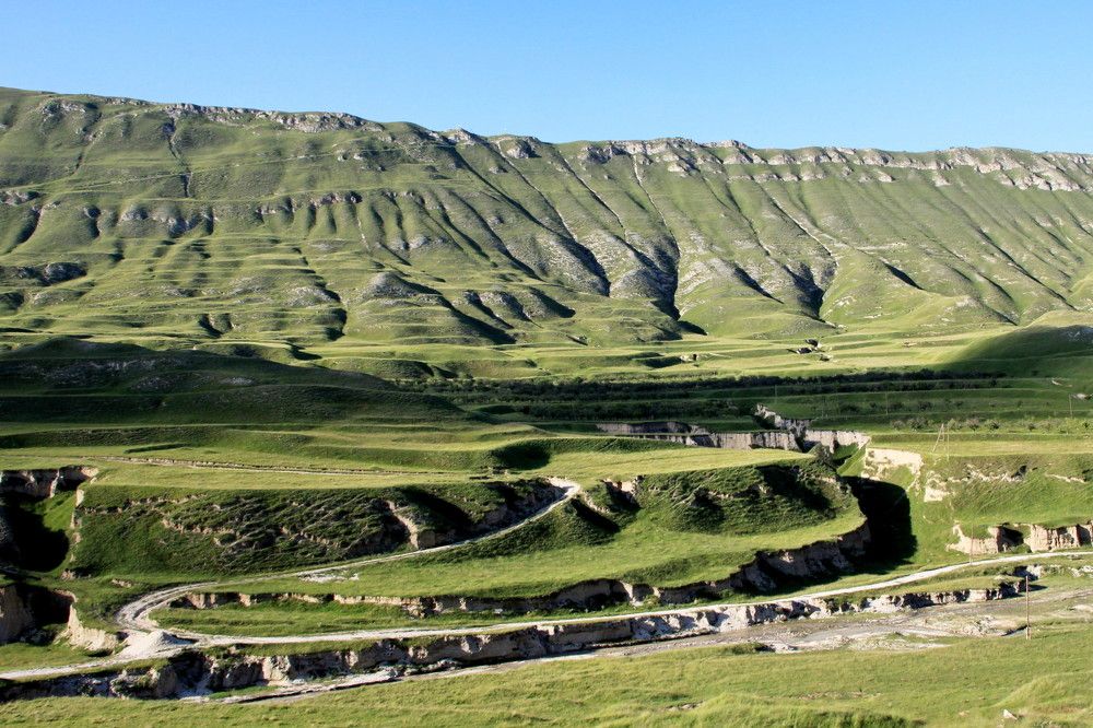 Зеленые горы