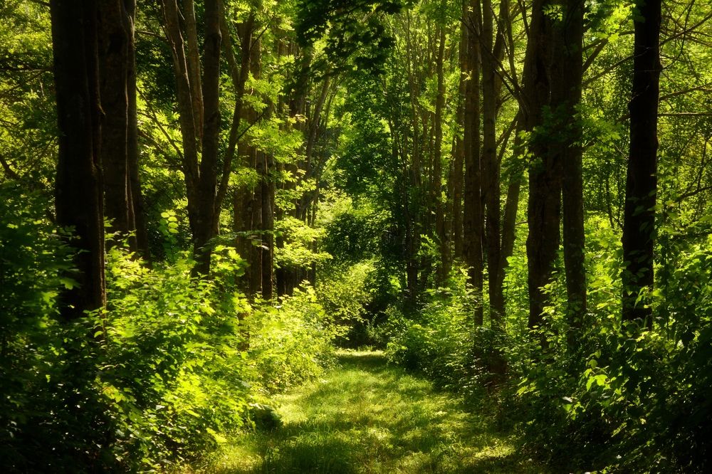 Photograph by Мария Опритова