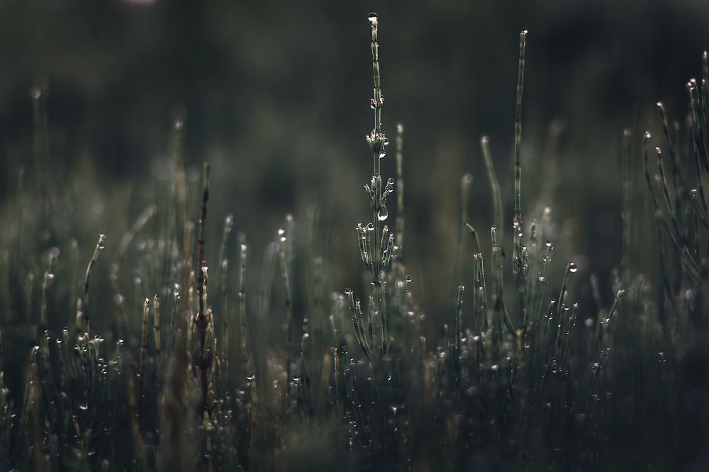 Photograph by Александр Слепцов