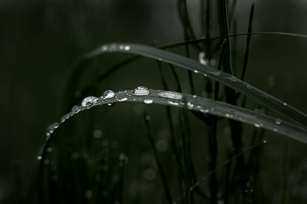 Photograph by Александр Слепцов