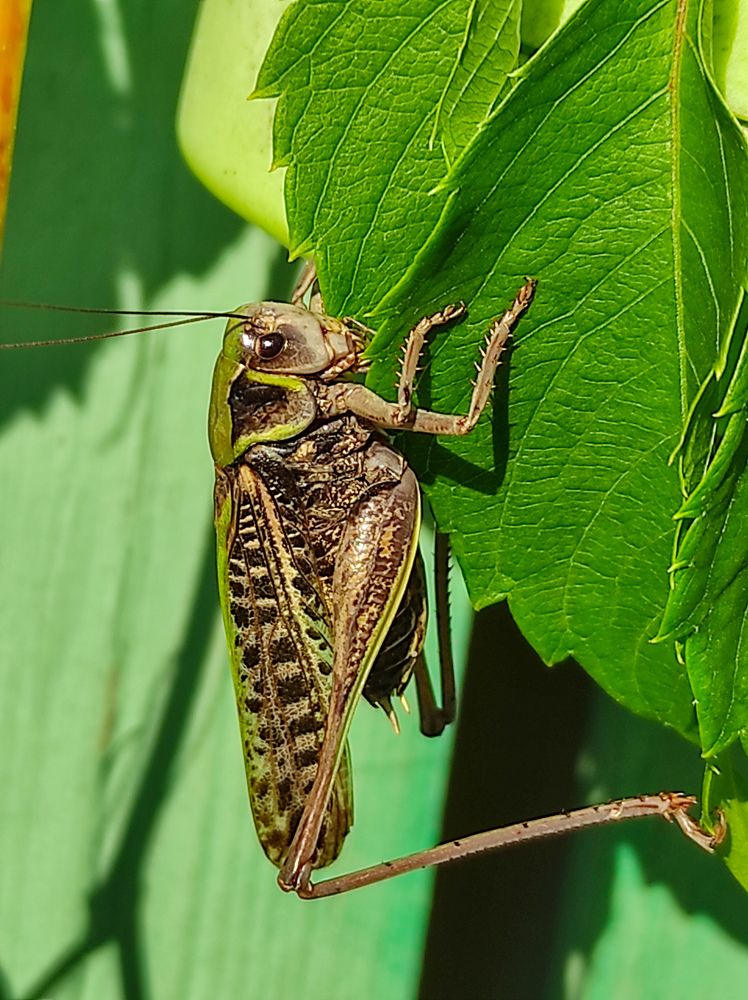 Фотография автора Марина Гусева