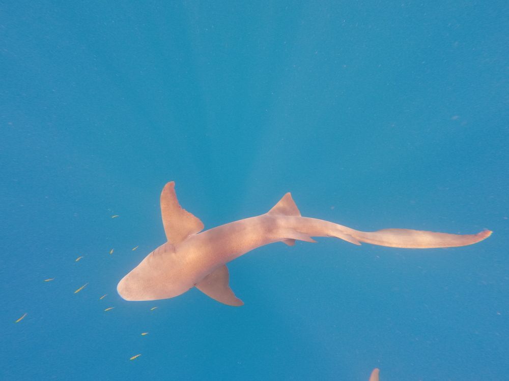 Photograph by Yulian Mr