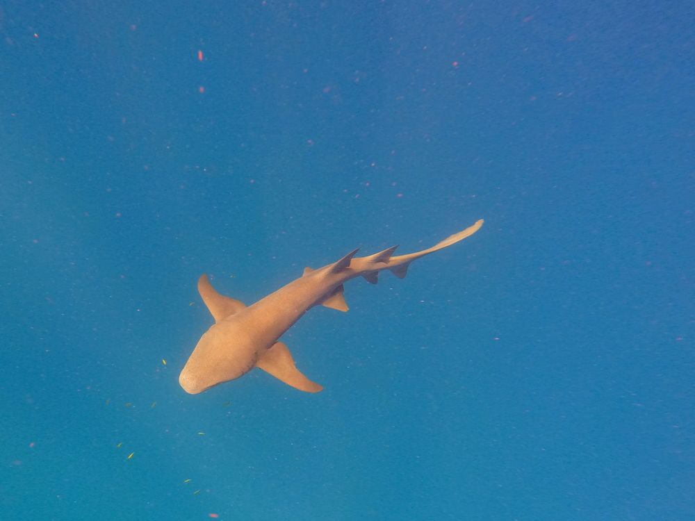 Photograph by Yulian Mr