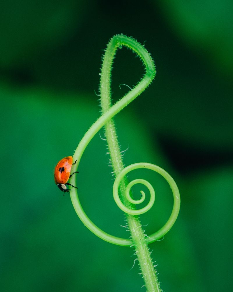 Photograph by Ранчинский Дмитрий