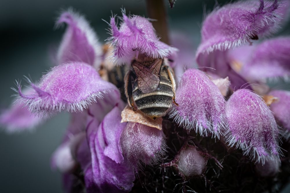 Photograph by Евгений Шпагин