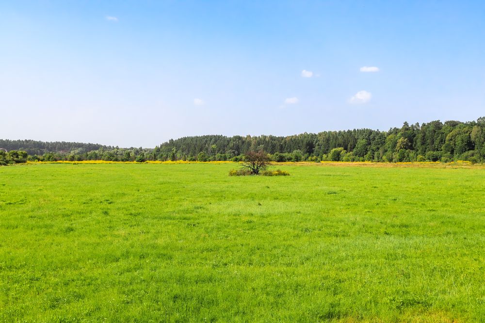 Photograph by Адриана