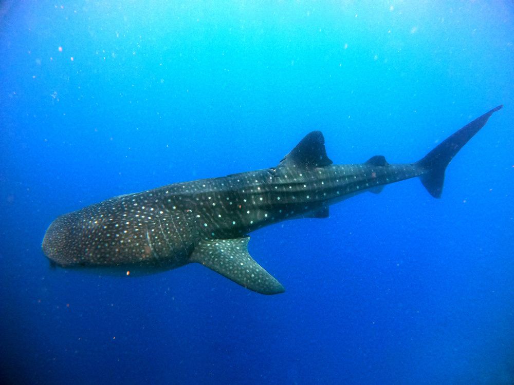 Photograph by Yulian Mr