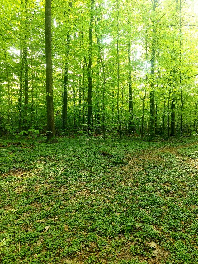 Photograph by Hossein Jafari