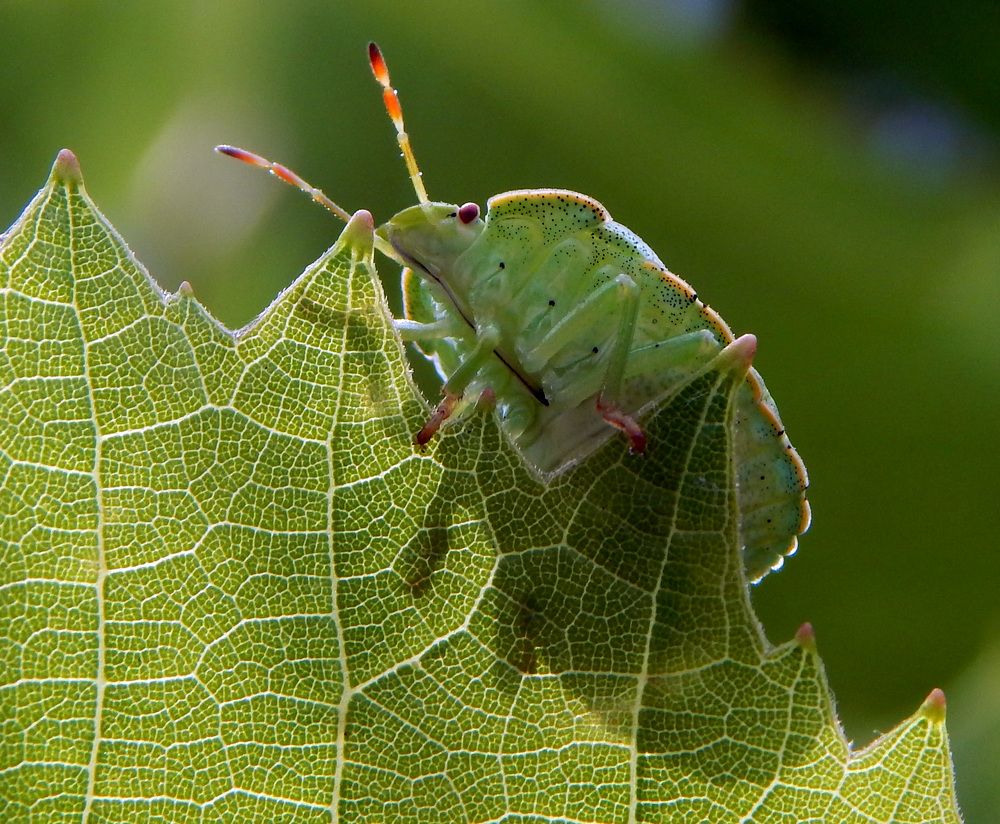 Photograph by Наталья Соколова