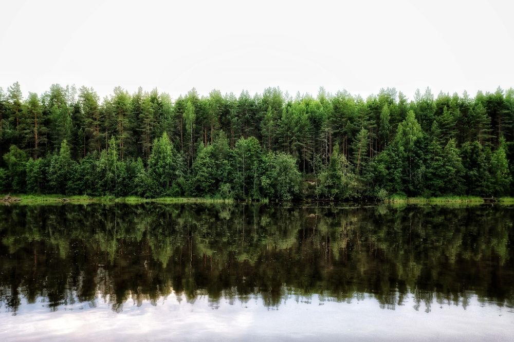 Photograph by Ирина Новицкая