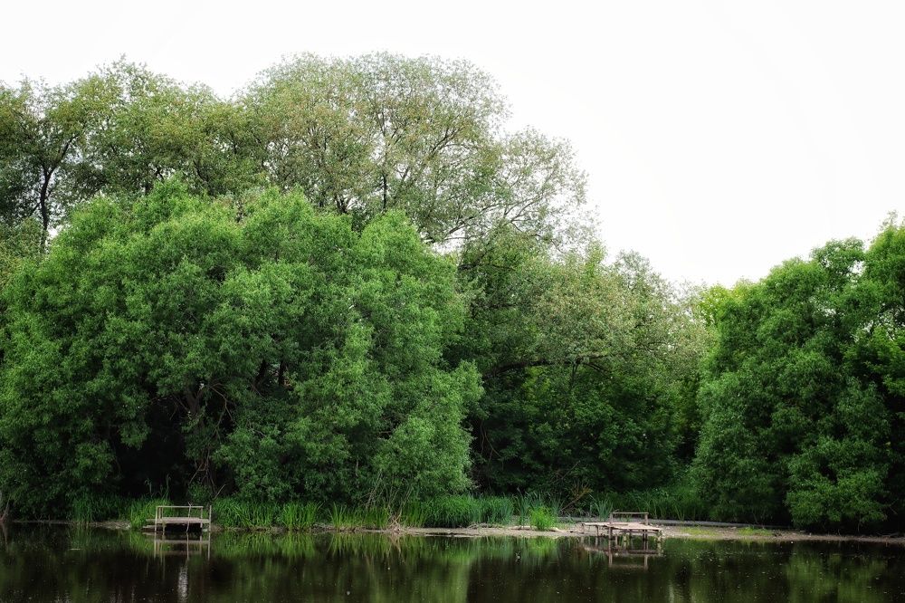 Photograph by Ирина Новицкая