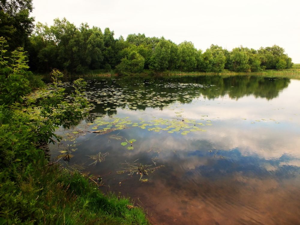 Photograph by Михаил Семёнов