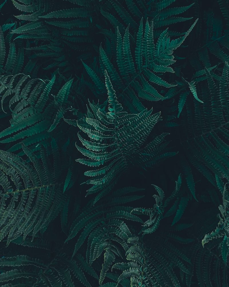 Photograph by Александра Якуцевич