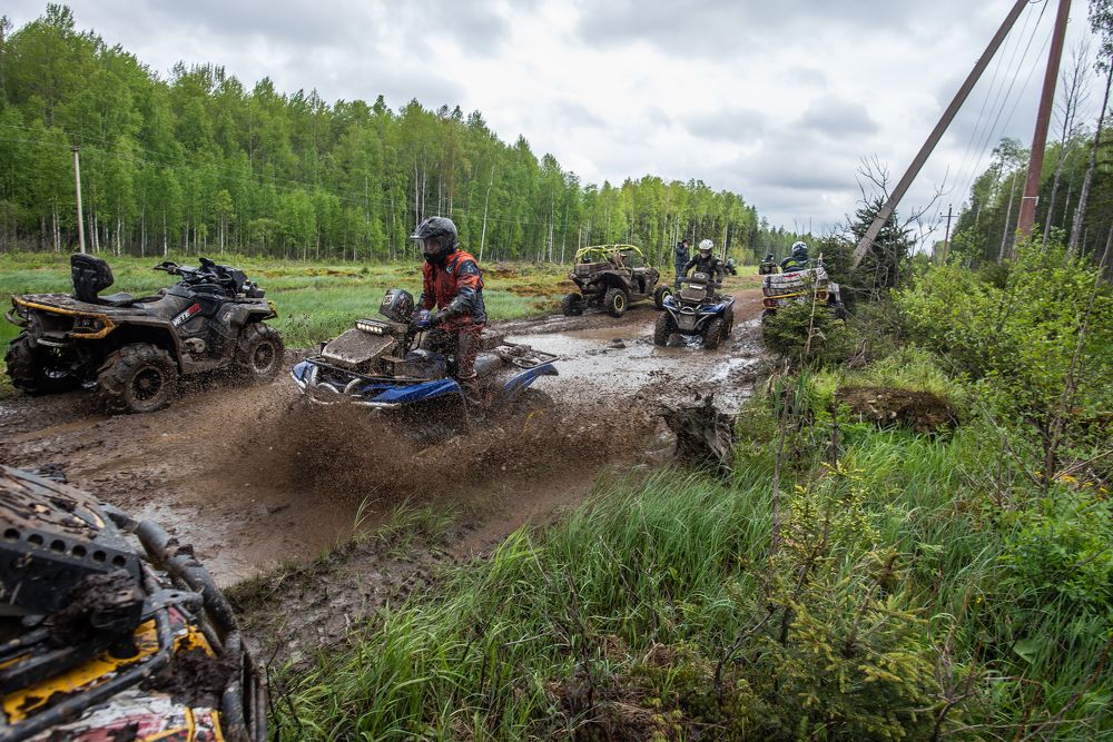 Photograph by Даркина Дарья