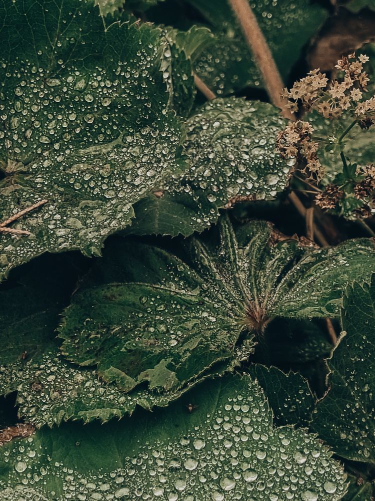 Photograph by Hanna Bourne