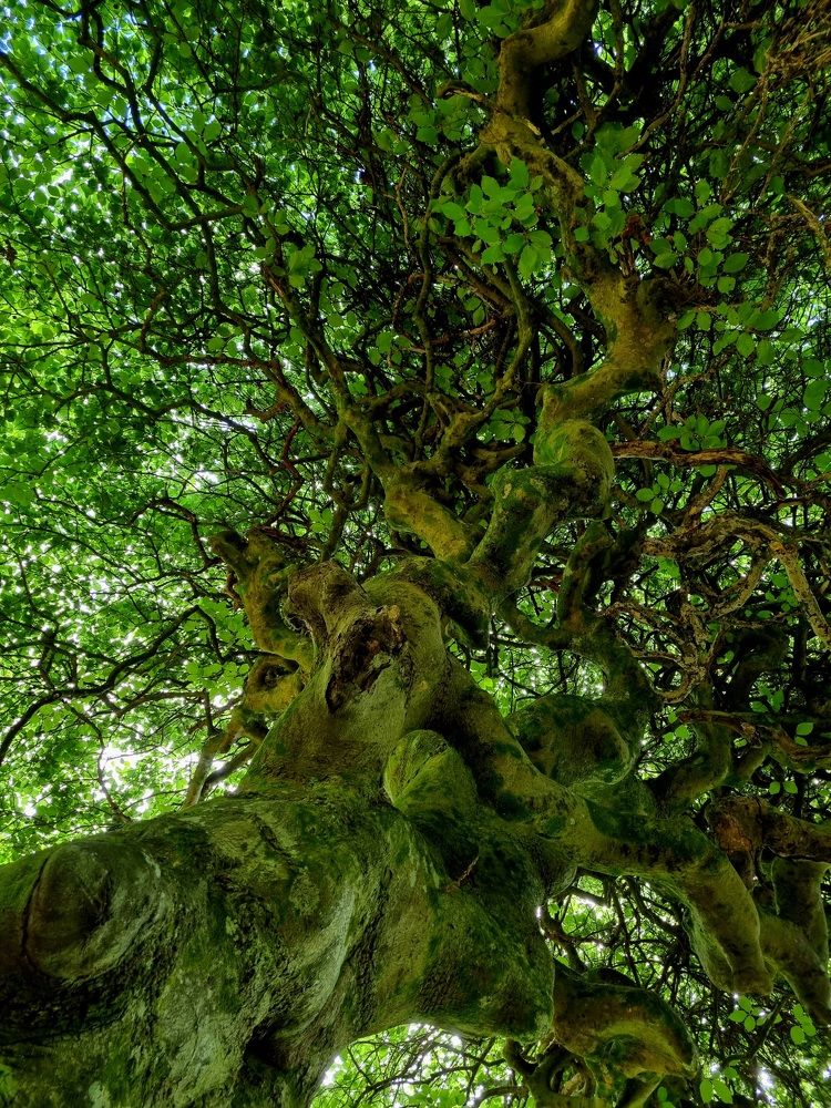 Photograph by Hanna Bourne