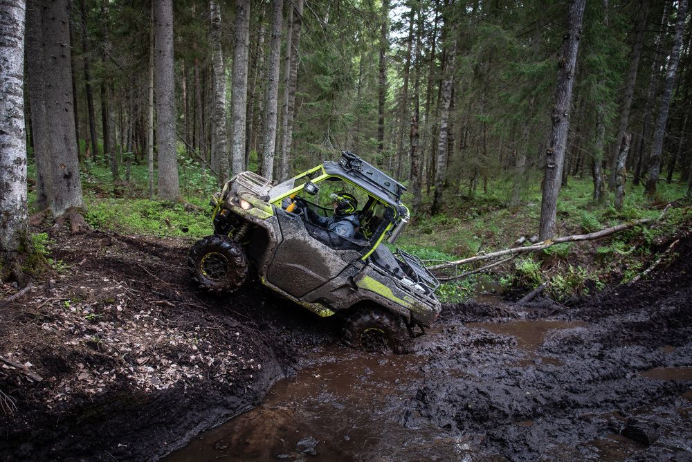 Photograph by Даркина Дарья