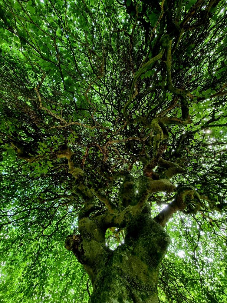 Photograph by Hanna Bourne