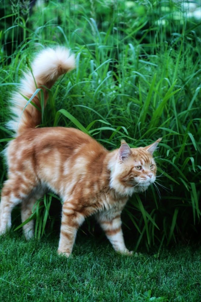 Photograph by Ирина Новицкая